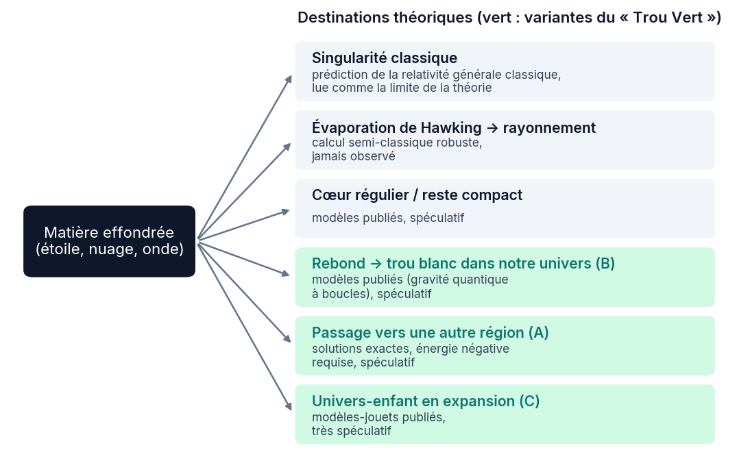 Schéma : une boîte « matière effondrée » reliée par des flèches à six destinations, dont trois en vert pour les variantes du Trou Vert, chacune avec son statut scientifique
