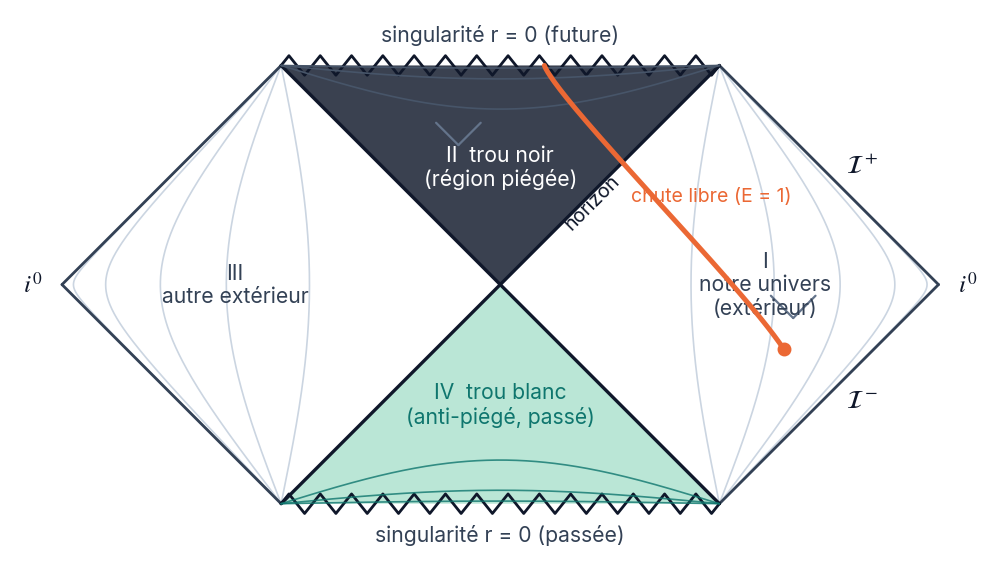 Diagramme de Penrose de Schwarzschild : losanges pour les deux univers extérieurs, triangle sombre en haut pour le trou noir, triangle vert en bas pour le trou blanc, et une trajectoire orange qui entre dans le trou noir